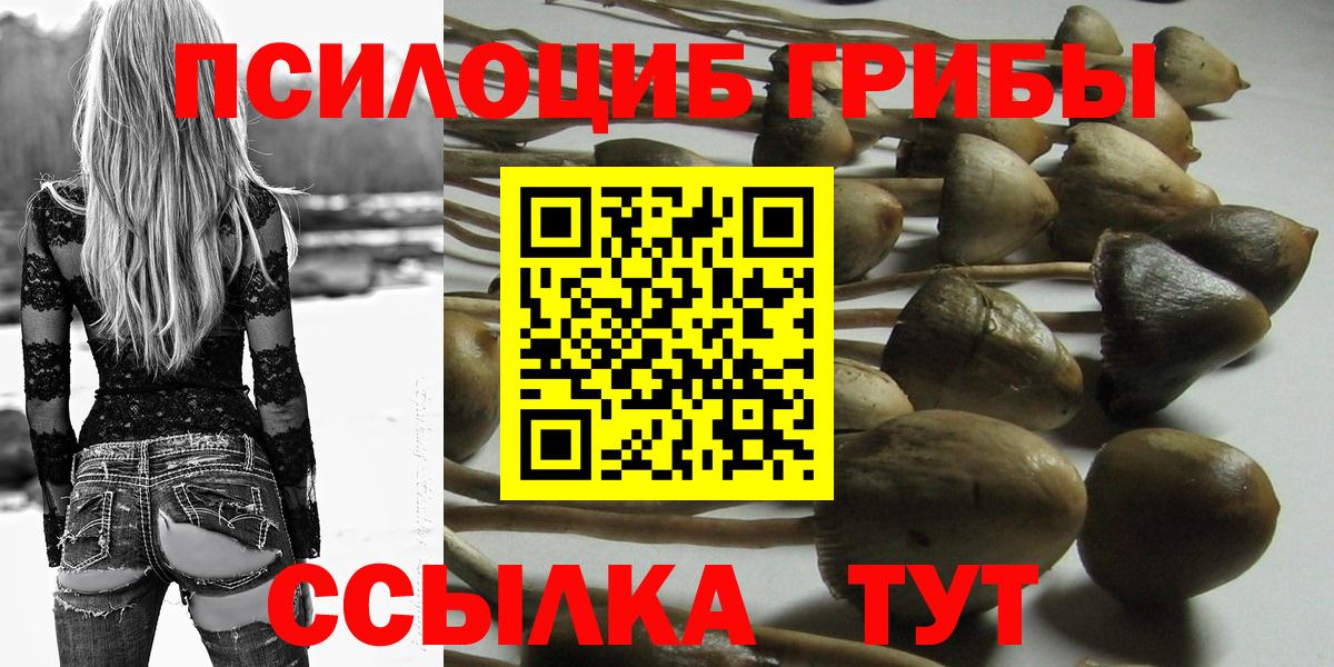 Галлюциногенные грибы мухоморы Майский