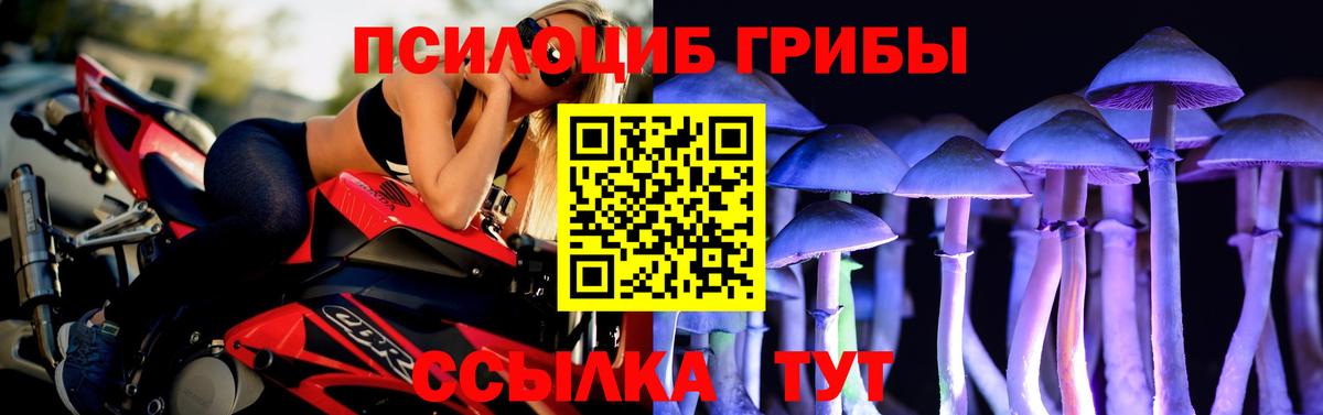 Псилоцибиновые грибы мухоморы  Вход с VPN  купить наркоту  Майский 
